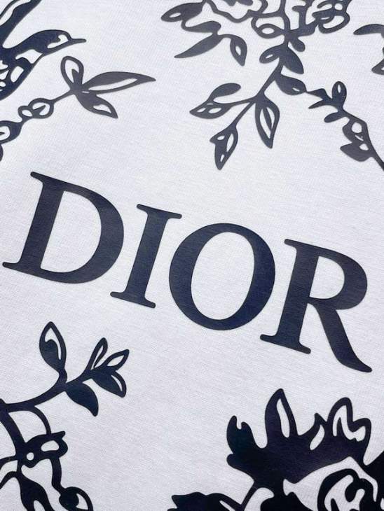 Dior T Shirts Short _SKUDiorL-4XLxetr22616398